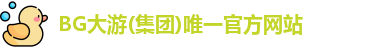 BG大游唯一官网